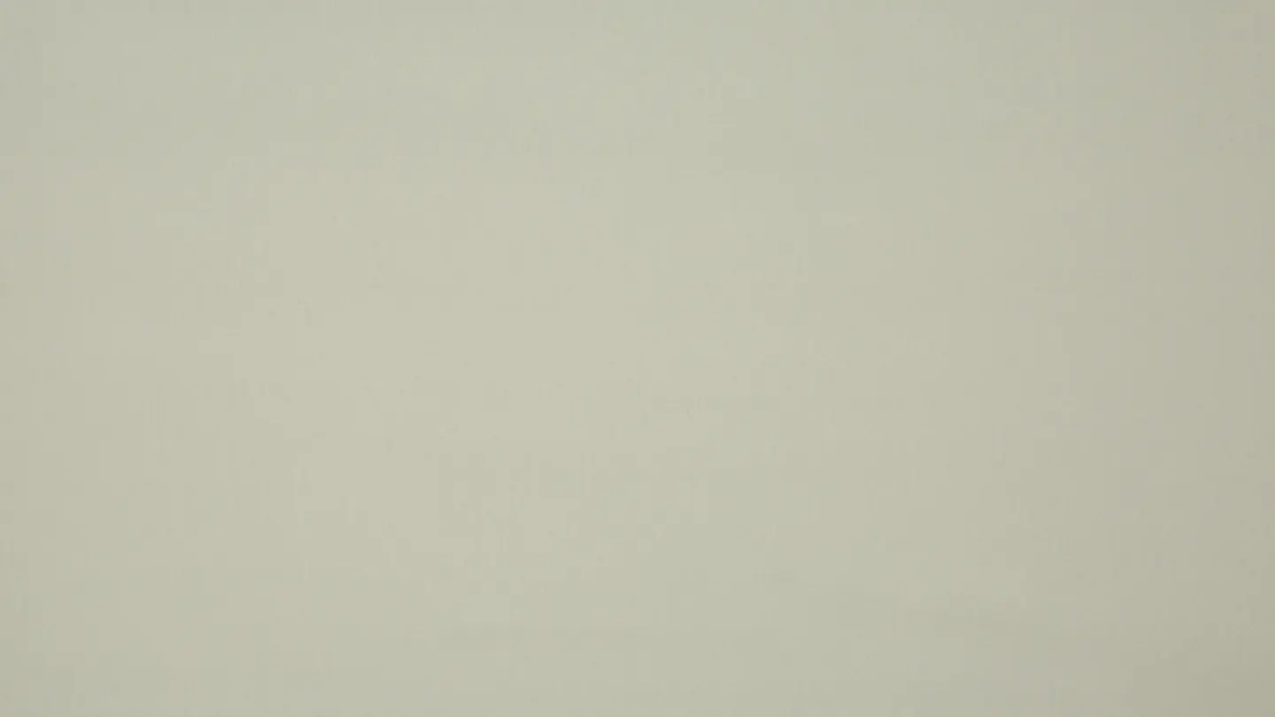 Nettex Epic curtain fabric in Biscuit