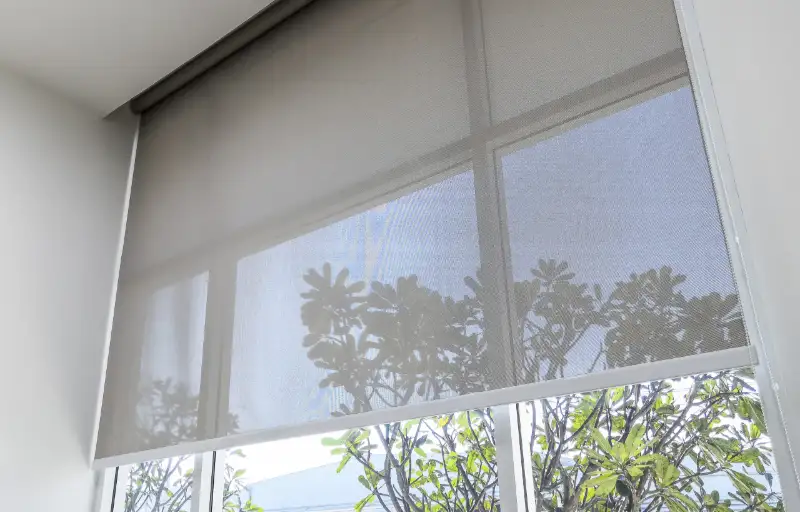 Sunscreen roller blind fabric filtering bright Gold Coast light