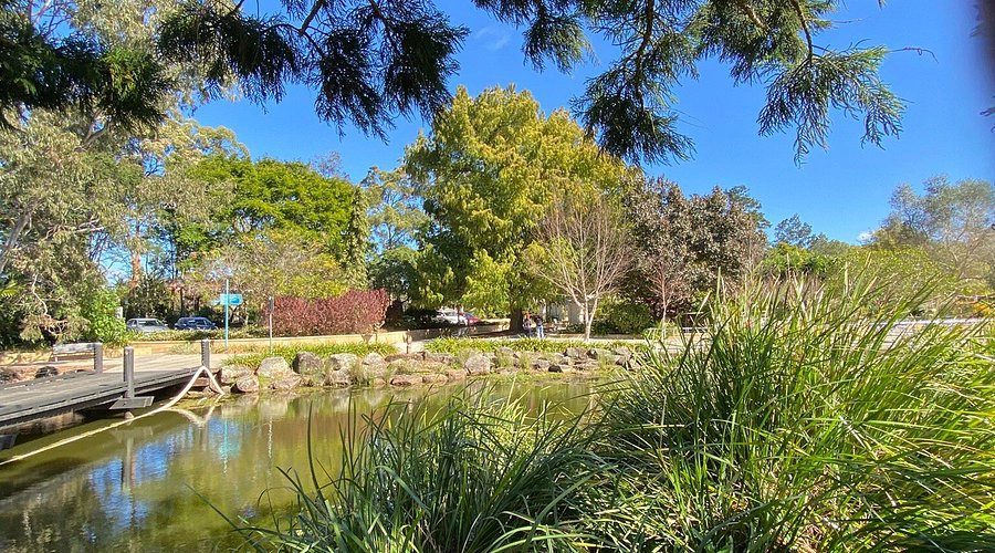 Gold Coast Regional Botanic Gardens near Ashmore